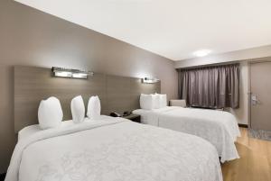 Standard Room with Two Double Beds Smoke Free room in Red Roof Inn PLUS+ Chicago - Naperville