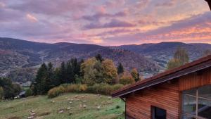 Maisons d'hotes Chalet Terejo & spa : photos des chambres
