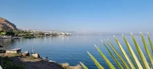 Sea of ​​Galilee - 罗什平纳