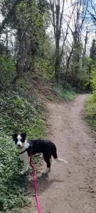 Chez Flo - Niederhausbergen