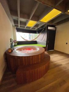 Deluxe Man cave with jacuzzy