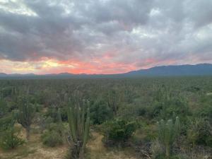 Cardón Alley Studio #1 - 1st Floor