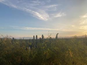 Cardón Alley Studio #1 - 1st Floor