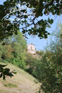 B&B / Chambres d'hotes Le Bois Fae : photos des chambres