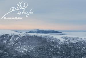 B&B / Chambres d'hotes Le Bois Fae : photos des chambres