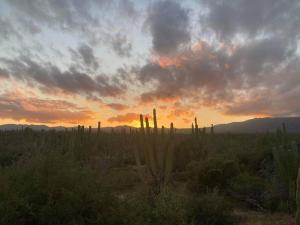 Cardón Alley Studio #4 - 2nd Floor