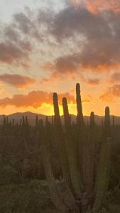 Cardón Alley Studio #4 - 2nd Floor