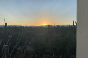 Cardón Alley Studio #2 - 2nd Floor