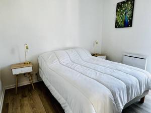 Confortable T2 à Cambo-les-Bains avec Parking et Fibre, 2 couchages - FR-1-495-108