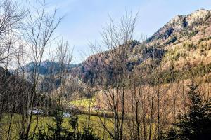 Pension Luger