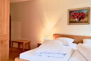 Pension Luger