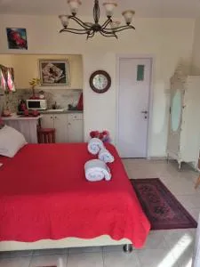 Pinat Hashaked - Mishmār Hāyardin