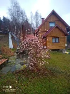 Domek na Zabawie - 米卢夫卡