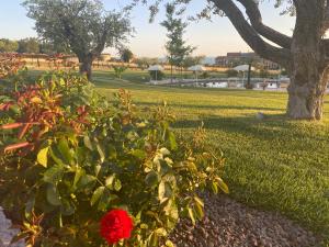 Agriturismo Ortaglia Bardolino