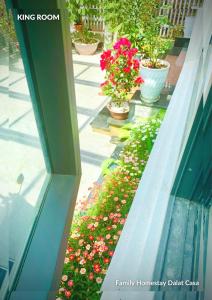 Family Homestay Dalat Casa