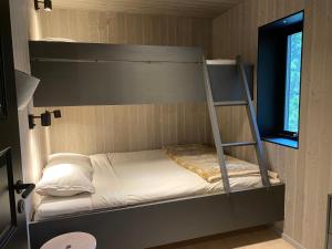 Nybyggd 8-bäddars skidstuga i Lofsdalen