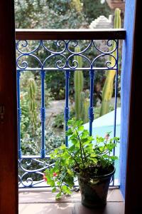 Casas Rurales Pradina I y II