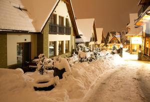 Zakopane Domki Wisienka