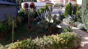 Apartments Vukalovic 2