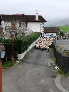 Auberges de jeunesse Gite Le Relais de la Source : photos des chambres