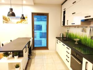 Szafrana 5B by Homeprime