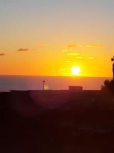 Apartamento con terraza y jardín