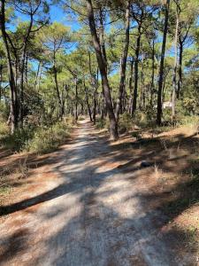 Villas Les Amourettes - 2 min a pied Plage - Velo -Jardin : photos des chambres