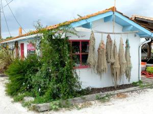 Maisons de vacances Charmante maison proche plage et centre : photos des chambres