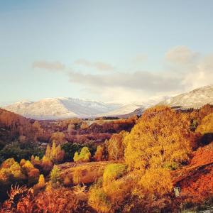 The Bakehouse - byStags Roar