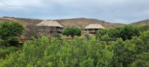 Garden Route Safari Camp