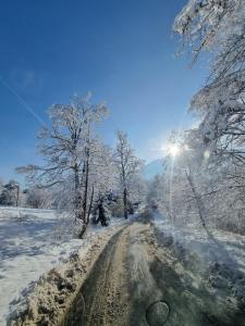 Karpielówka 77 pokoje gościnne