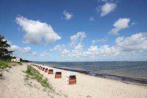 viel Natur, idyllische Umgebung, ruhige Lage - Ferienpark Neddesitz FeWo 299