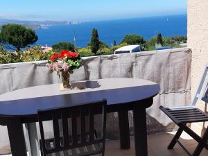 Charmant studio avec terrasse et parking à Banyuls-sur-Mer - FR-1-309-90