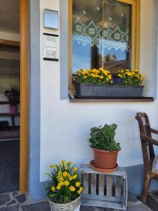 Ferienwohnung Schatz