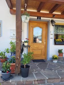 Ferienwohnung Schatz