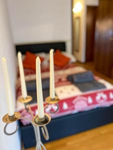 ERMAN HOUSE - Calle veneziana in Riviera del Brenta