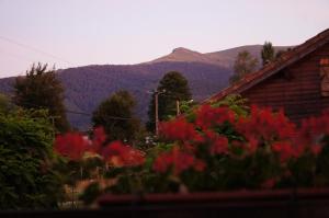 Maisons de vacances French Pyrenees luxury : photos des chambres