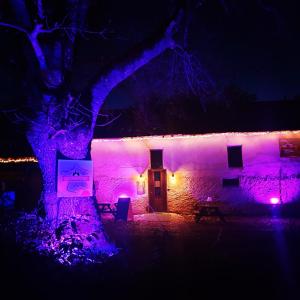 Tentes de luxe Camping d'artagnan : photos des chambres