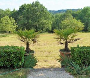 Maisons de vacances gite lafurette : photos des chambres