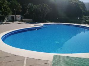 Estudio Puntillo del Sol