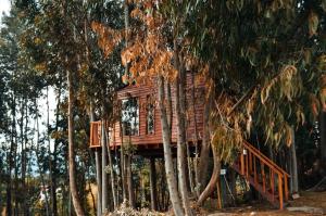Casa en el Árbol Guatavita