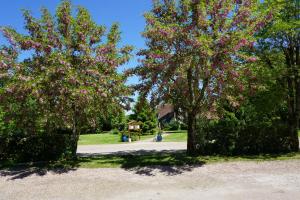 Hotels Domaine de L'Arbrelle : photos des chambres