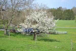 Biohof Auinger, der Tiererlebnishof