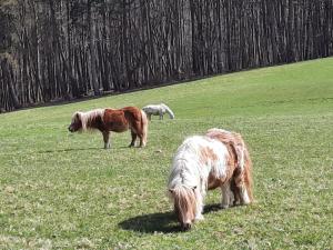 Erholungsheim im Wienerwald