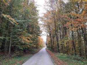 Erholungsheim im Wienerwald