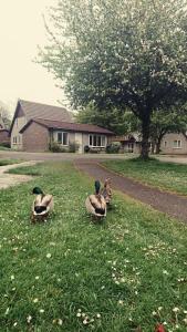 Bungalow 62,North Cornwall, St. Tudy