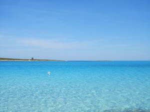 Hotel Silvestrino img40