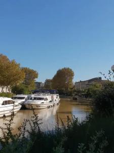 Appartements Charming 52 m near the Robine Canal : photos des chambres