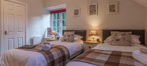 Twin Room room in Glyntwrog House