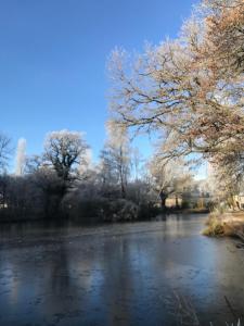 Appartements Le Gite du Petit Renard: A Tranquil Gite with pool : photos des chambres